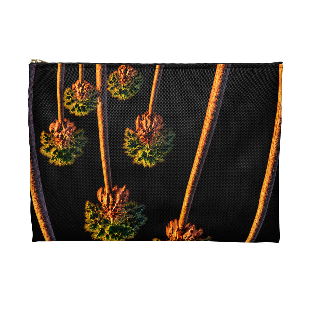 PALMS