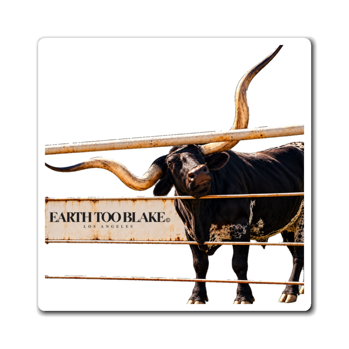 LONGHORN